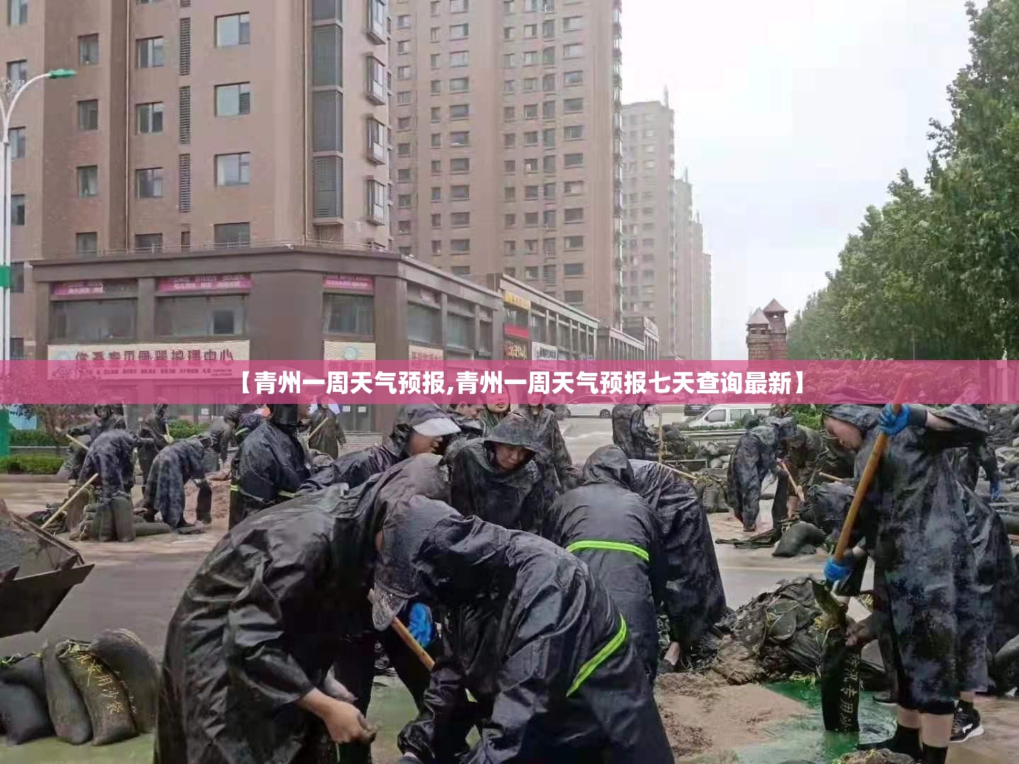 【青州一周天气预报,青州一周天气预报七天查询最新】