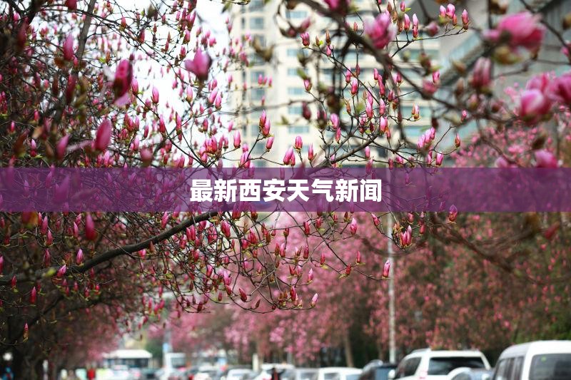 最新西安天气新闻(最新西安天气7天查询表)