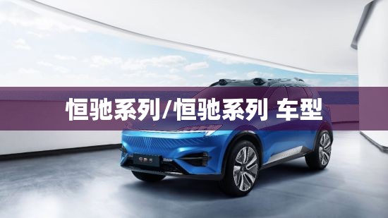 恒驰系列/恒驰系列 车型 恒驰系列/恒驰系列 车型