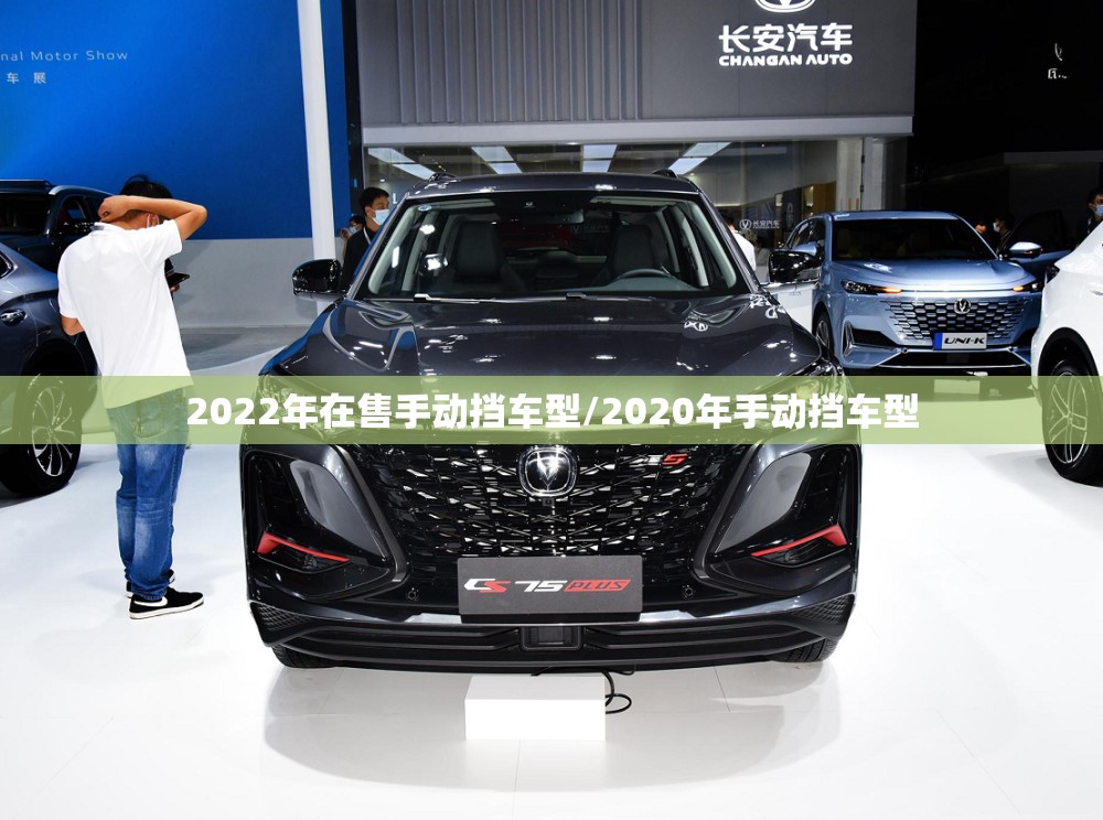 2022年在售手动挡车型/2020年手动挡车型