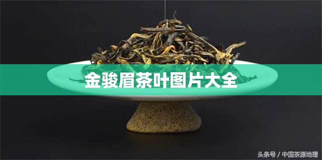【金骏眉茶叶图片大全,金骏眉茶叶正品图片】 【金骏眉茶叶图片大全,金骏眉茶叶正品图片】