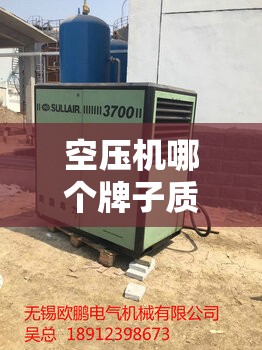 空压机哪个牌子质量好耐用/气泵最建议买三个牌子