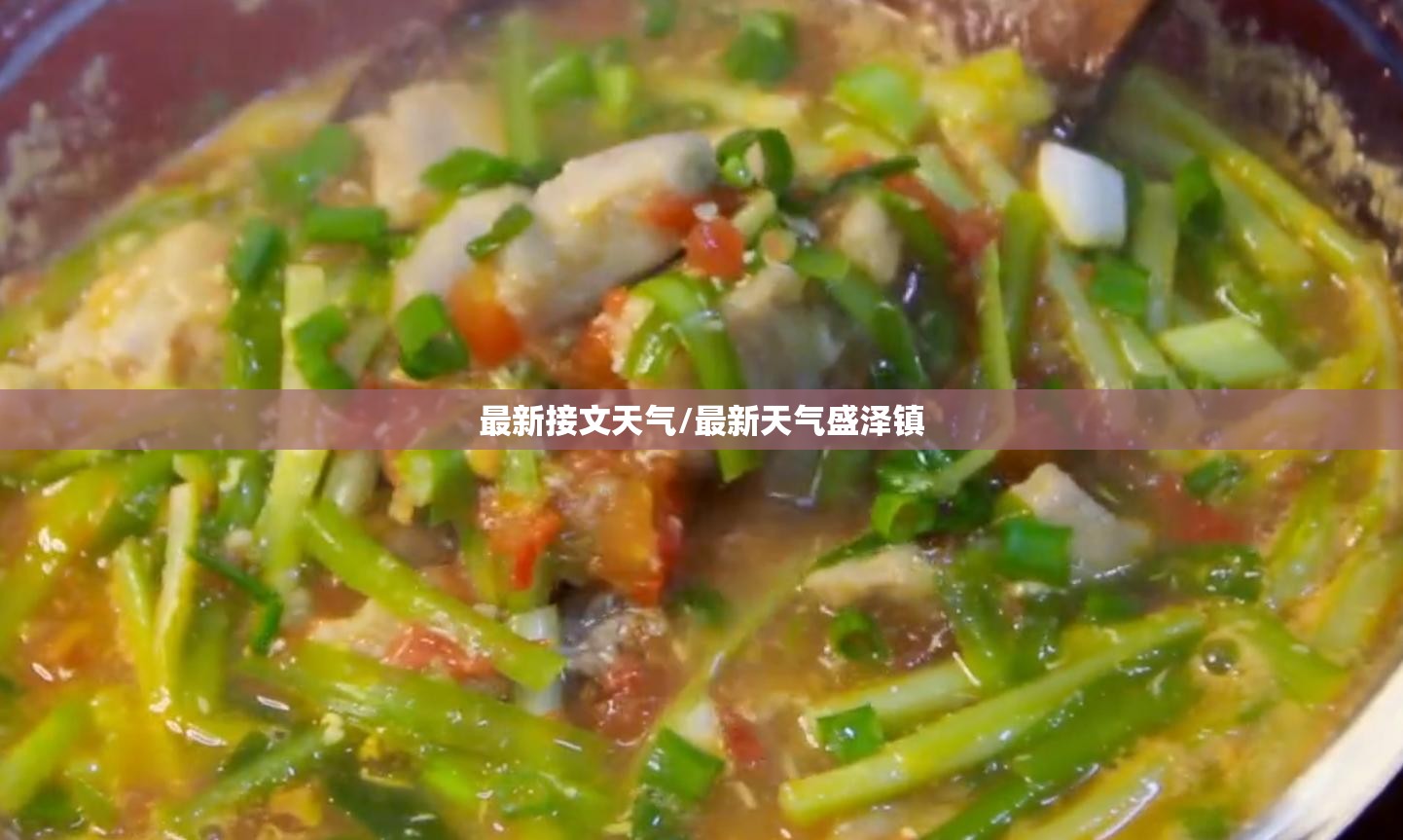 最新接文天气/最新天气盛泽镇