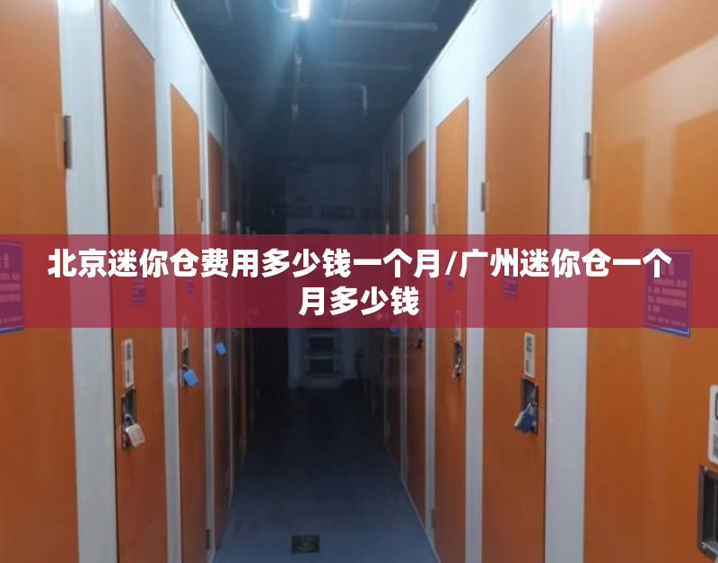 北京迷你仓费用多少钱一个月/广州迷你仓一个月多少钱
