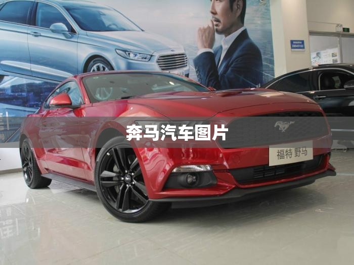 奔马汽车图片/奔马汽车图片及报价