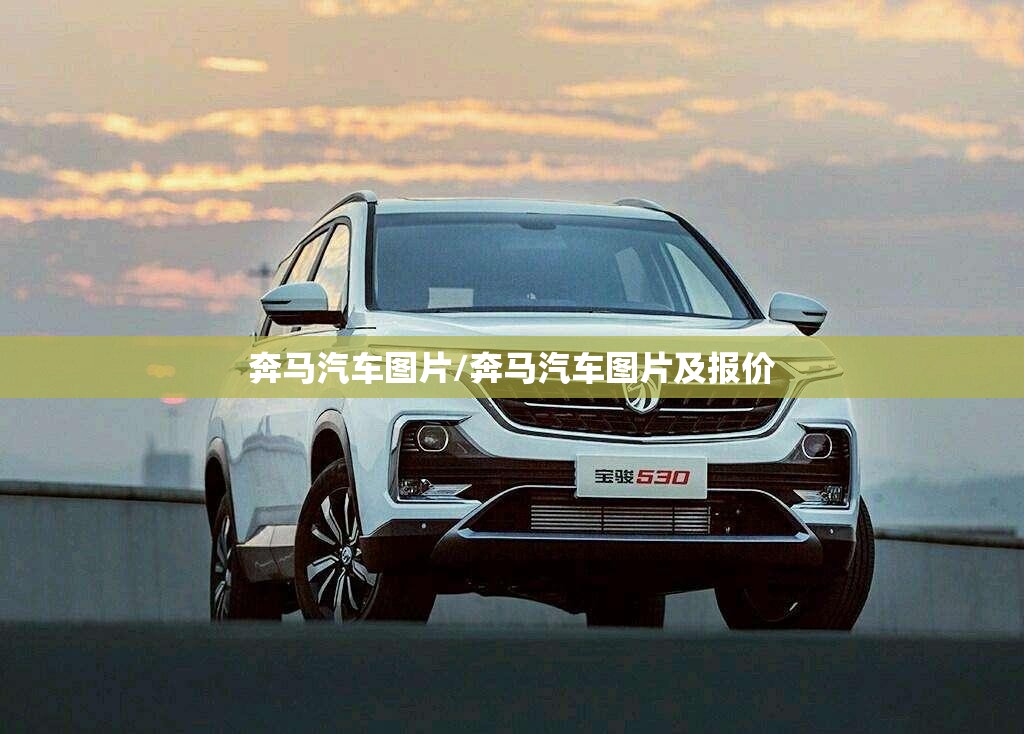 奔马汽车图片/奔马汽车图片及报价 奔马汽车图片/奔马汽车图片及报价