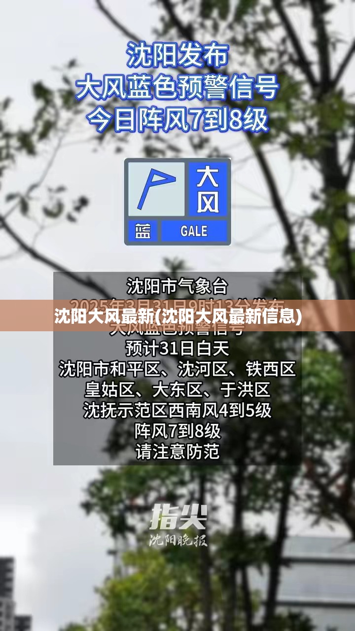 沈阳大风最新(沈阳大风最新信息) 沈阳大风最新(沈阳大风最新信息)