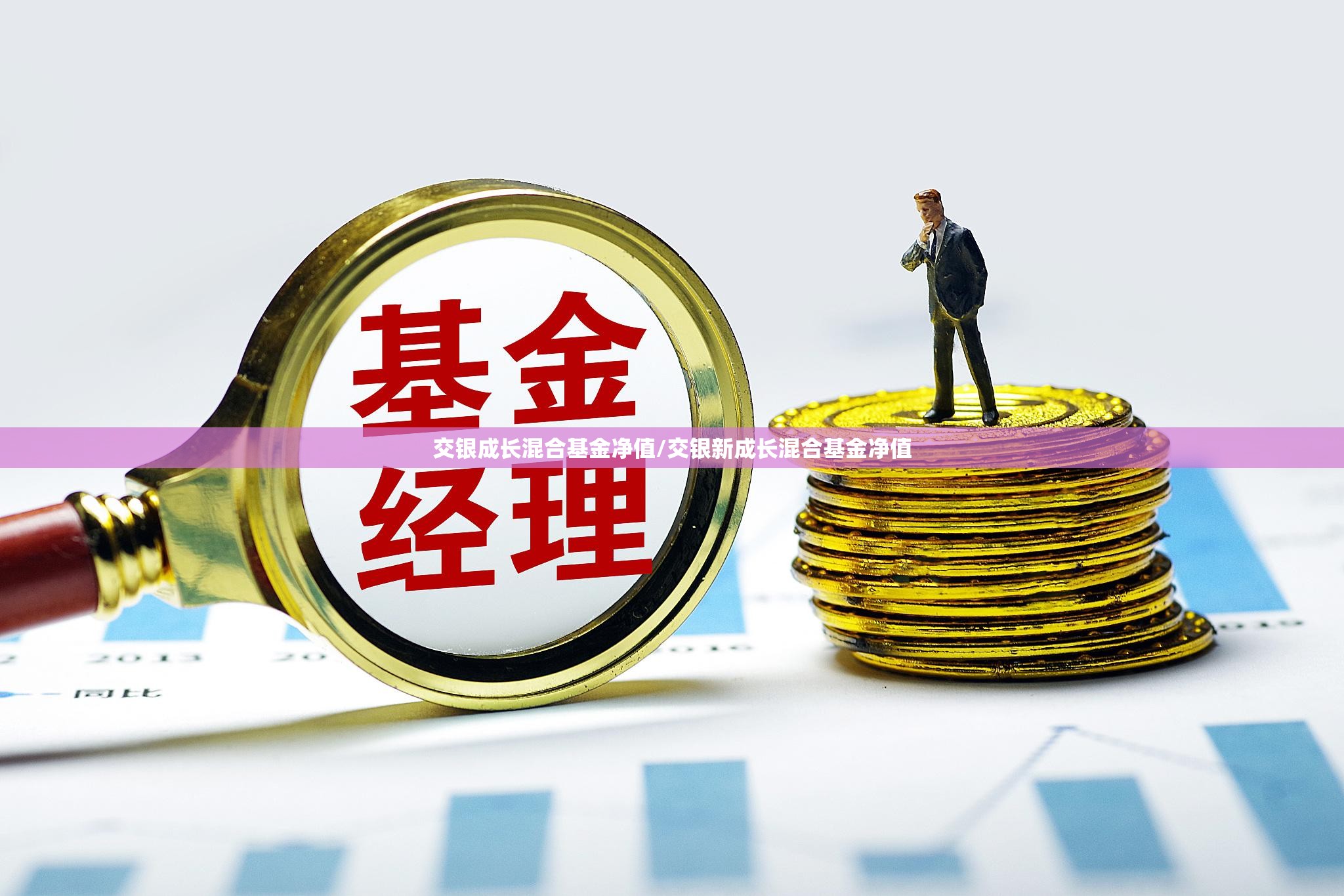 002336资金流向(002312资金流向全览) 002336资金流向(002312资金流向全览)