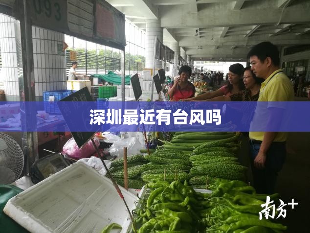 【深圳最近有台风吗,2025深圳台风最新消息】 【深圳最近有台风吗,2025深圳台风最新消息】