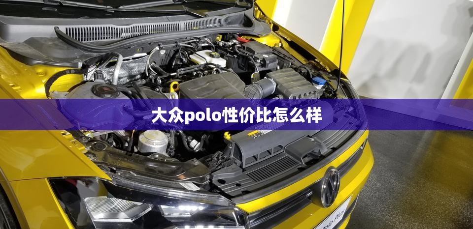 大众polo性价比怎么样/大众polo车质量如何 大众polo性价比怎么样/大众polo车质量如何