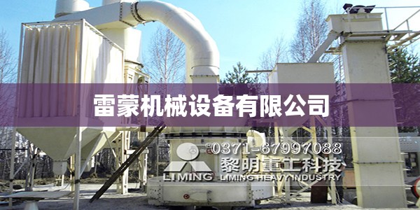 雷蒙机械设备有限公司/雷蒙科技有限公司