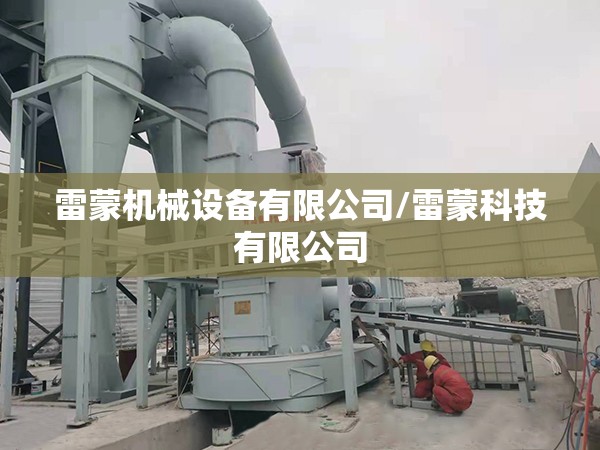 雷蒙机械设备有限公司/雷蒙科技有限公司