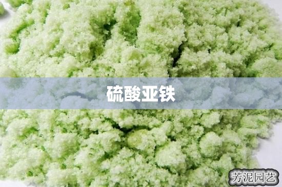 【硫酸亚铁,硫酸亚铁片】 【硫酸亚铁,硫酸亚铁片】