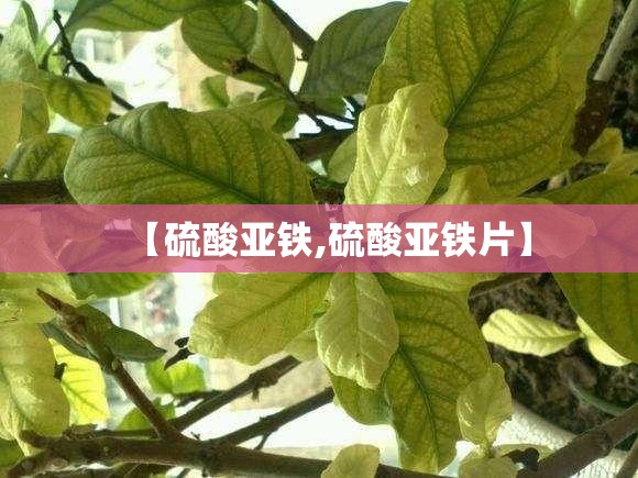 【硫酸亚铁,硫酸亚铁片】