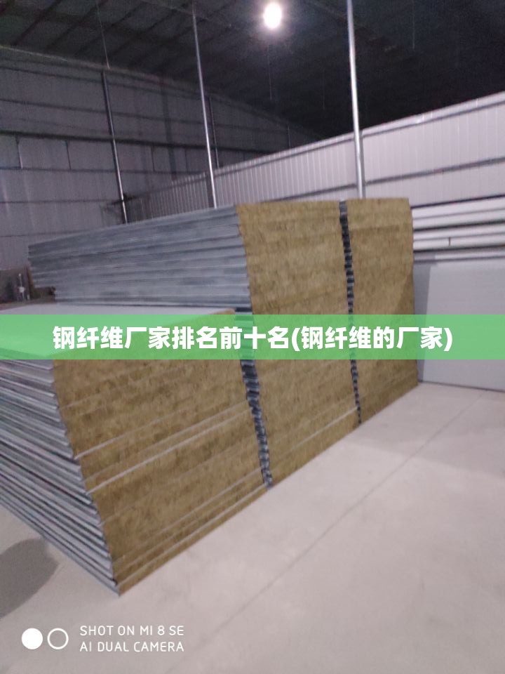 钢纤维厂家排名前十名(钢纤维的厂家)