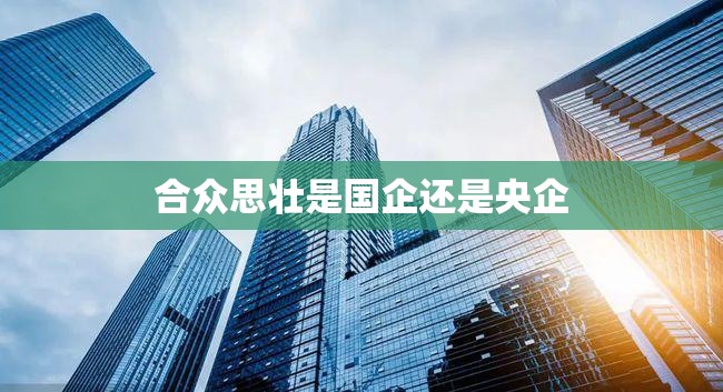 合众思壮是国企还是央企(合众思壮是上市公司吗)