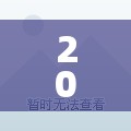 2045/2045年是什么年