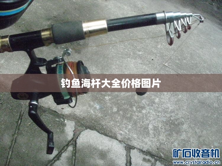 【钓鱼海杆大全费用图片,钓鱼海杆排名榜】