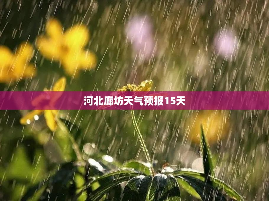 河北廊坊天气预报15天(河北廊坊天气预报15天查询) 河北廊坊天气预报15天(河北廊坊天气预报15天查询)