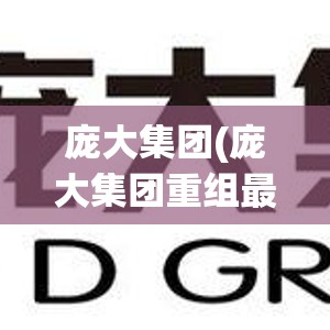 庞大集团(庞大集团重组最新进展) 庞大集团(庞大集团重组最新进展)