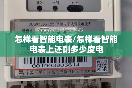 怎样看智能电表/怎样看智能电表上还剩多少度电 怎样看智能电表/怎样看智能电表上还剩多少度电
