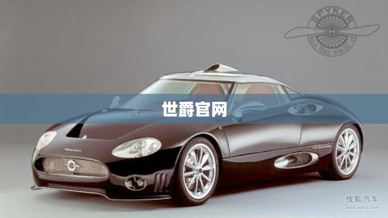 世爵官方网站/世爵官方 世爵官方网站/世爵官方