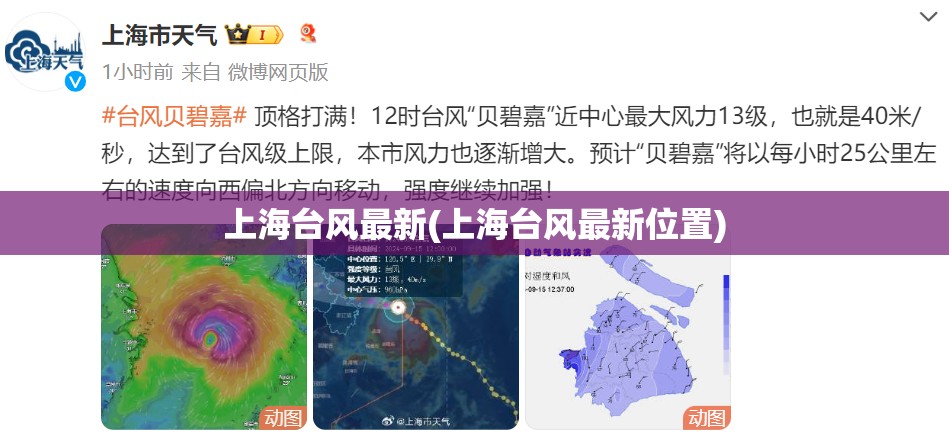 上海台风最新(上海台风最新位置)