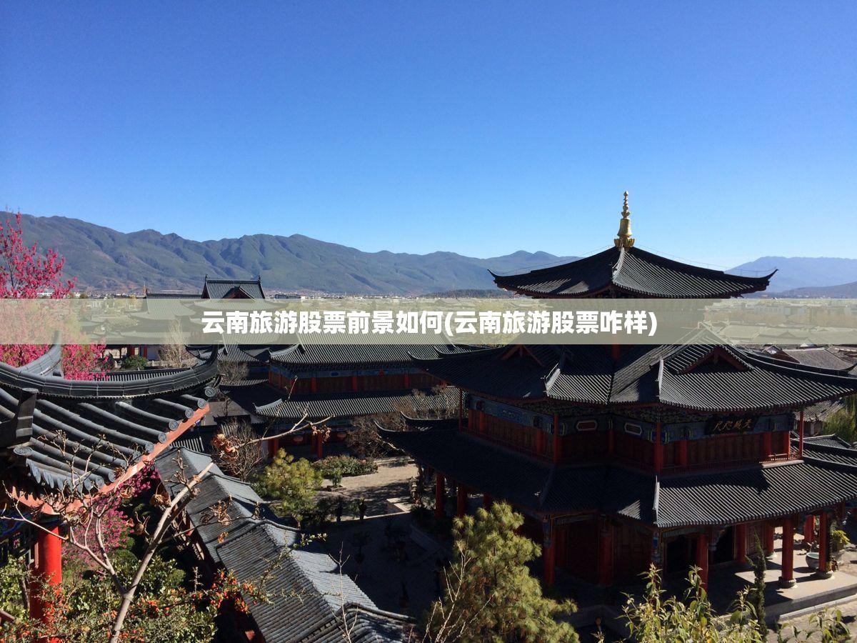 云南旅游股票前景如何(云南旅游股票咋样)