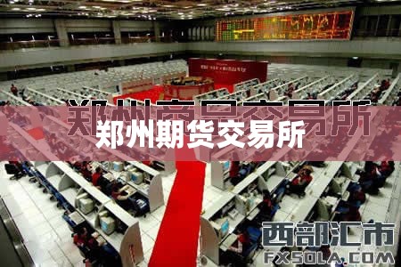 郑州期货交易所/郑州期货交易所有哪些品种