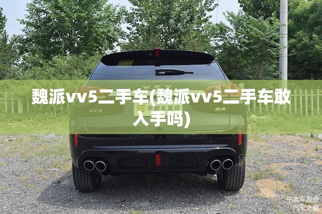 魏派vv5二手车(魏派vv5二手车敢入手吗)
