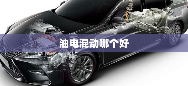 油电混动哪个好/跑长途插电混动和油电混动哪个好 油电混动哪个好/跑长途插电混动和油电混动哪个好