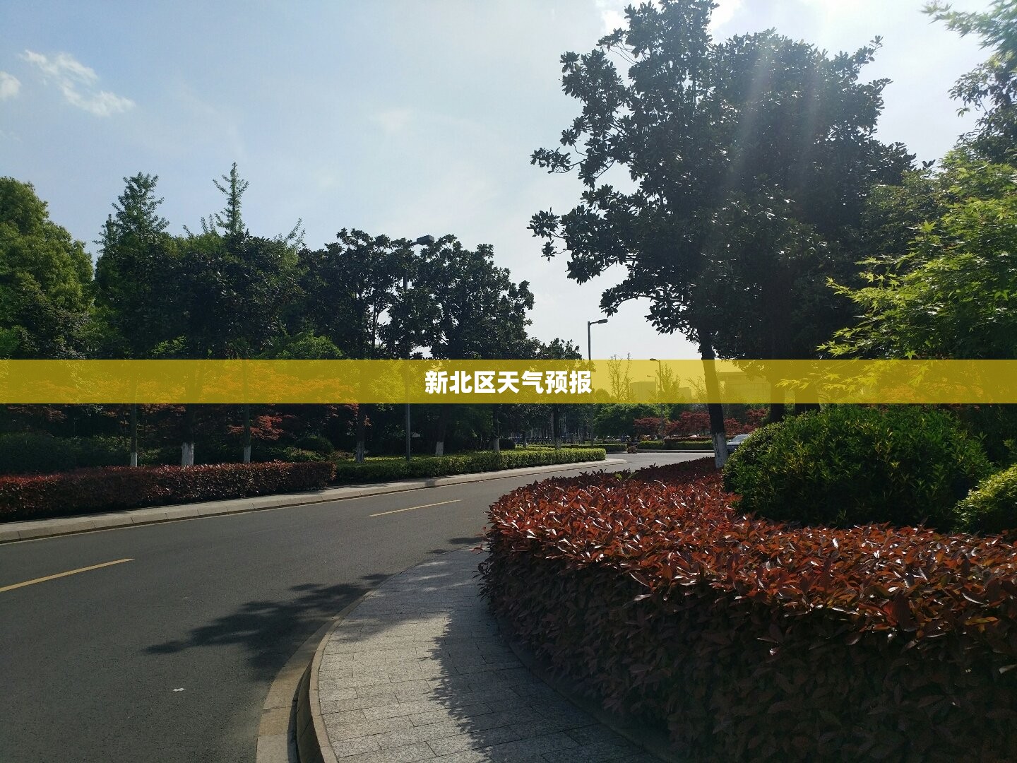 【新北区天气预报,新北区天气预报今天】