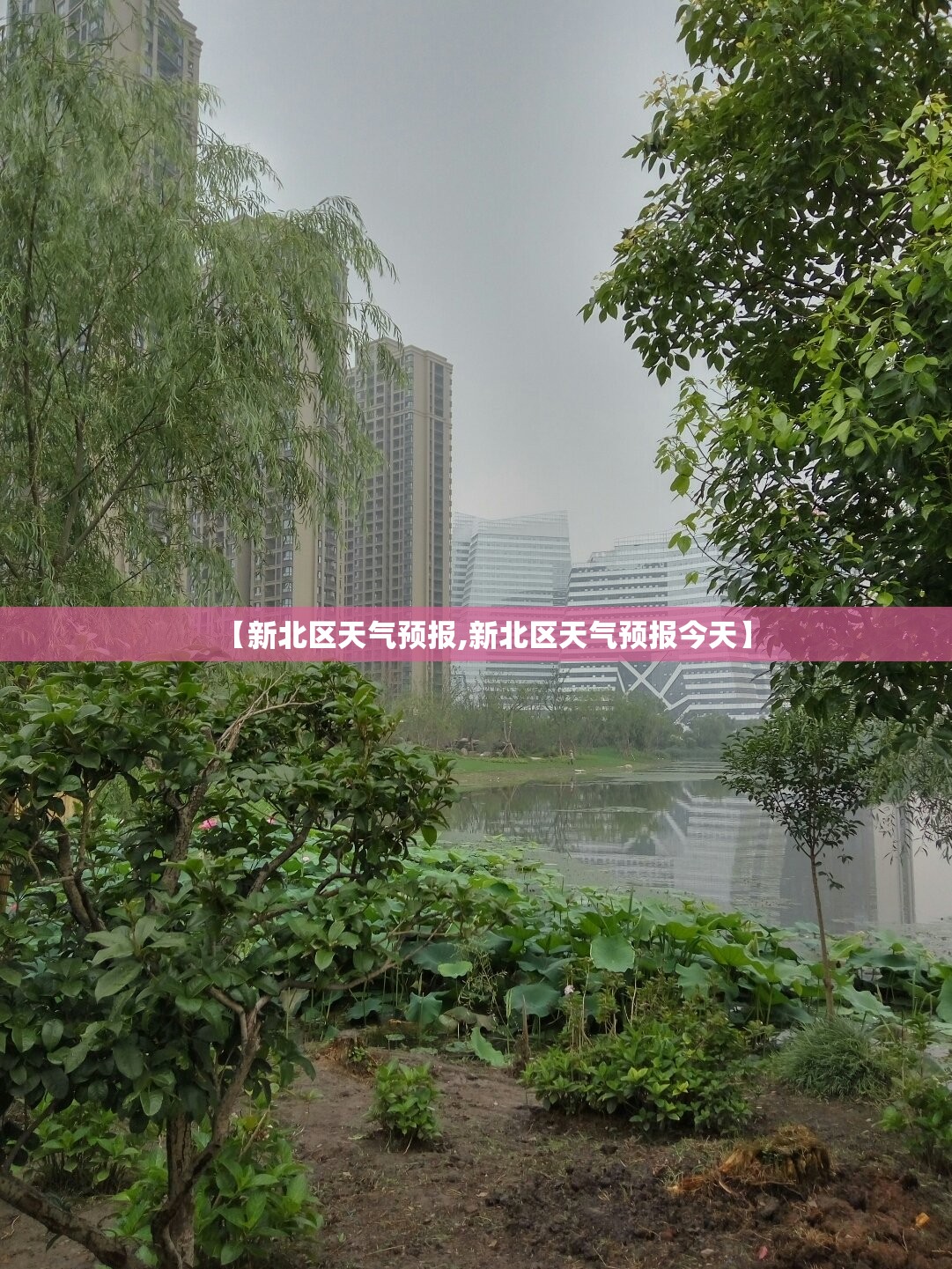【新北区天气预报,新北区天气预报今天】 【新北区天气预报,新北区天气预报今天】