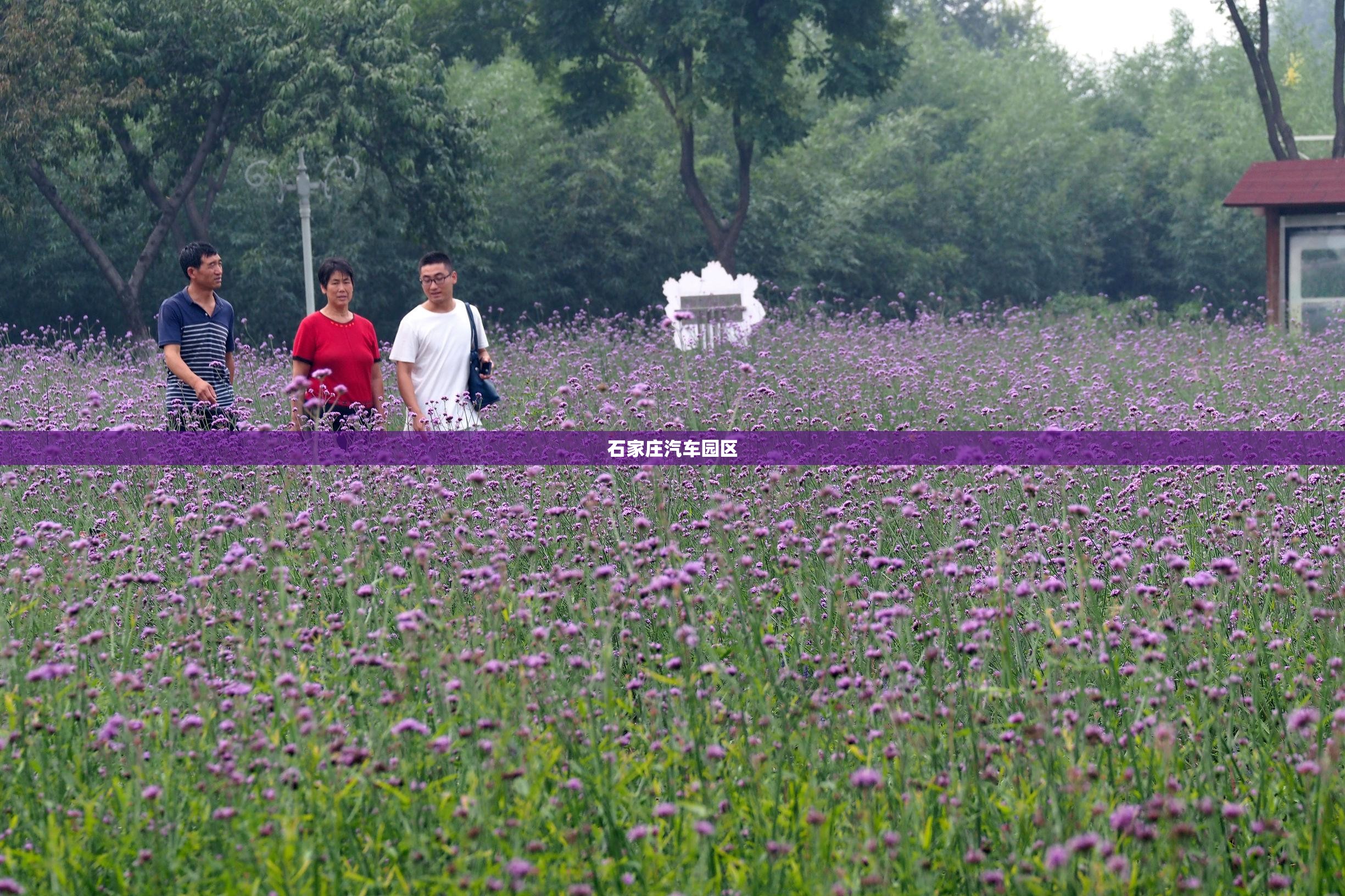 【石家庄汽车园区,石家庄汽车园区地址都有哪些】