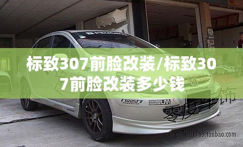 标致307前脸改装/标致307前脸改装多少钱
