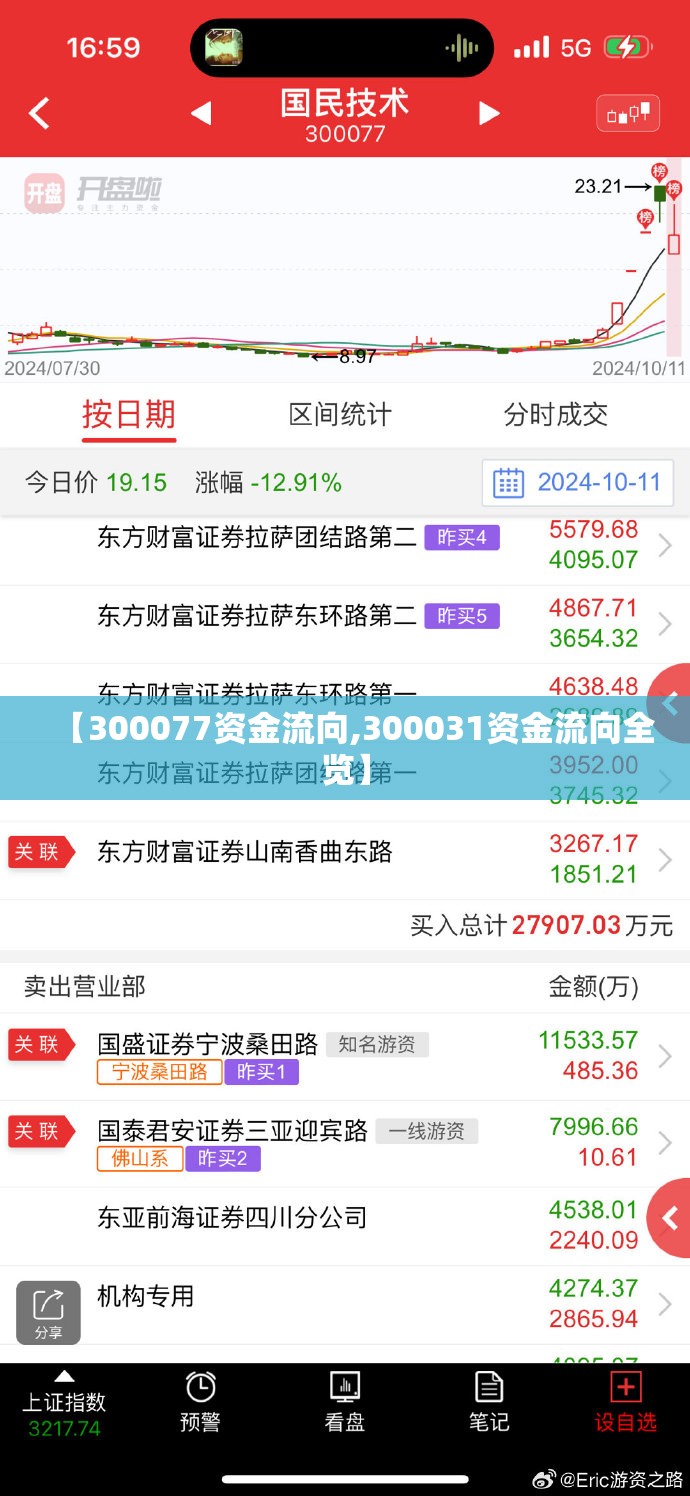 【300077资金流向,300031资金流向全览】