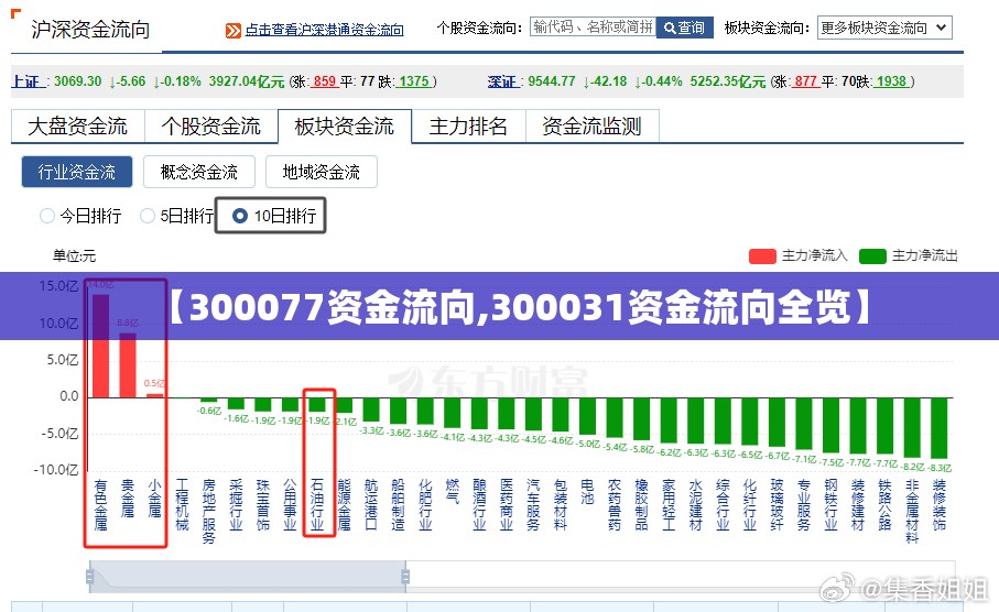 【300077资金流向,300031资金流向全览】