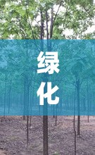 绿化树木名称及图片及费用(绿化树木名称及费用表) 绿化树木名称及图片及费用(绿化树木名称及费用表)