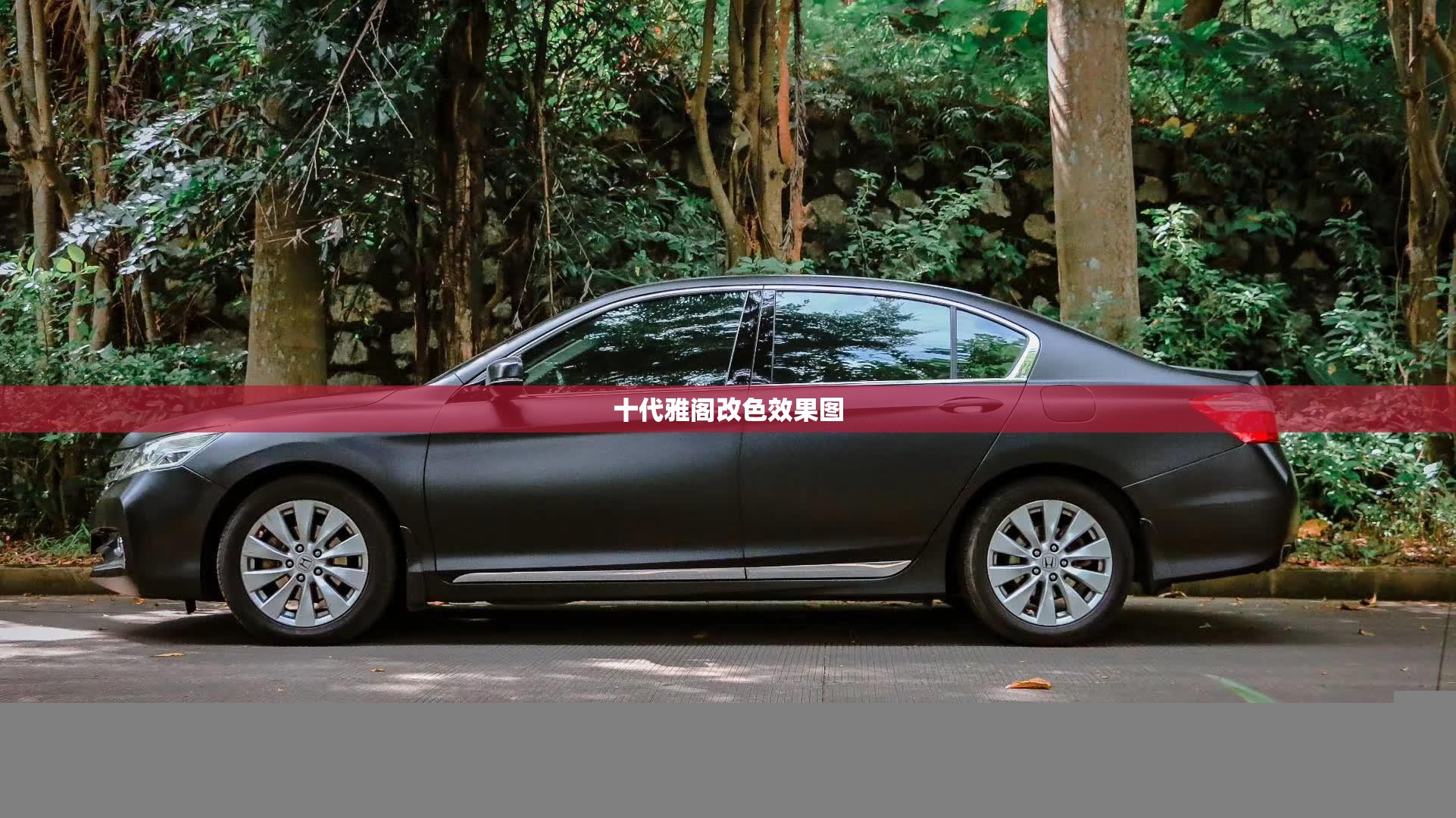 十代雅阁改色效果图(八代雅阁改色案例图片)