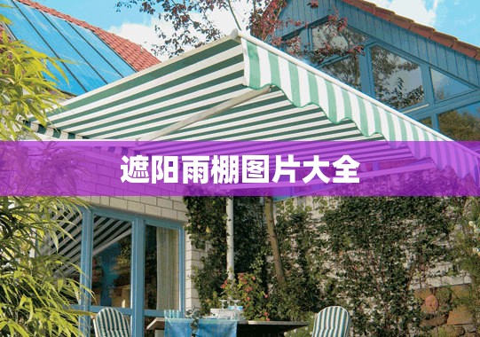 【遮阳雨棚图片大全,遮阳遮雨棚大全】