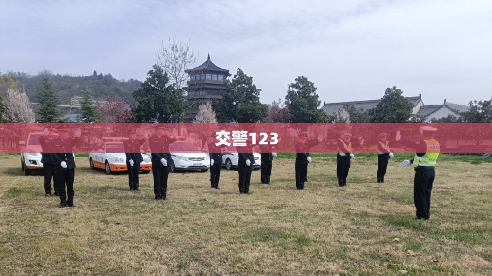 【交警123,交警123查违章】