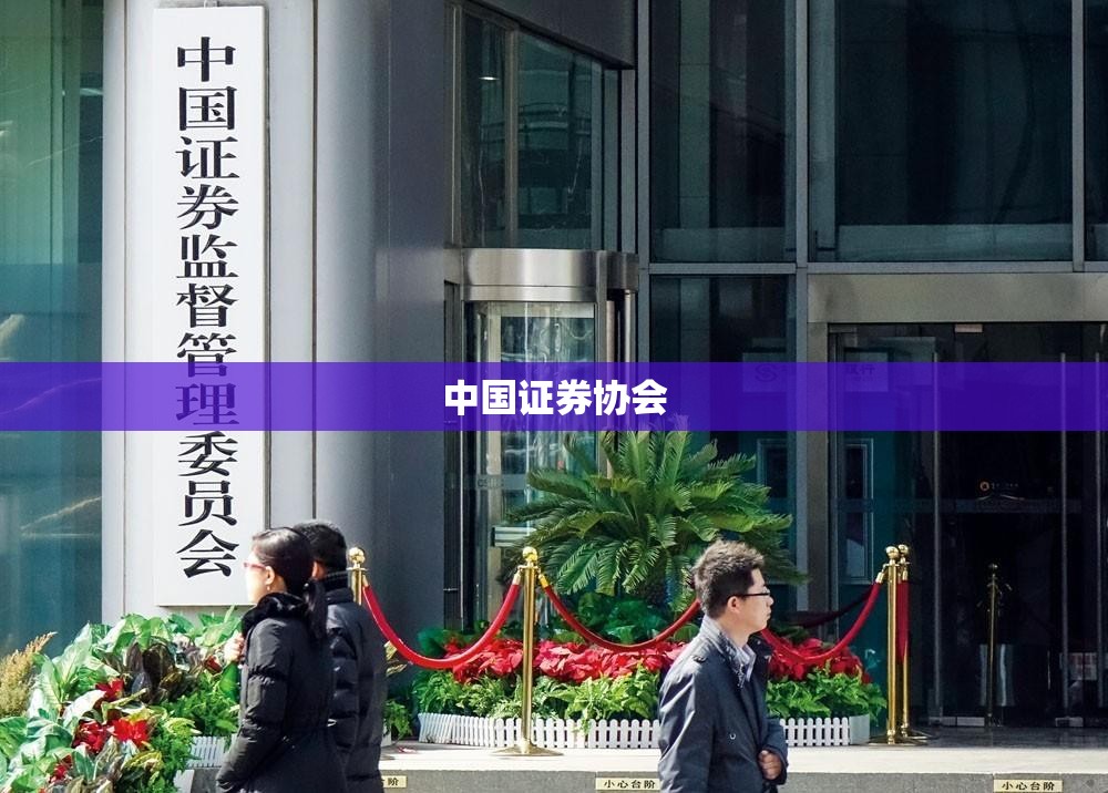 五菱之光内部空间尺寸(五菱之光空间尺寸图解) 五菱之光内部空间尺寸(五菱之光空间尺寸图解)