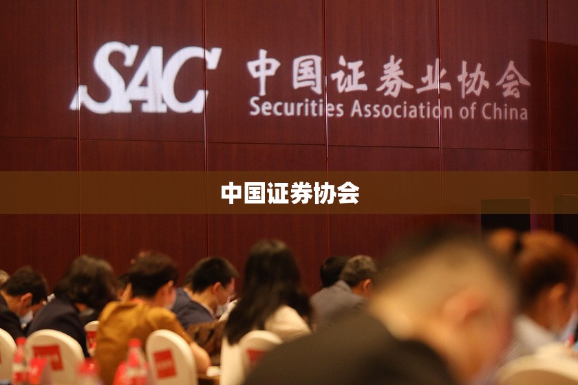 【中国证券协会,中国证券业协会从业资格考试】 【中国证券协会,中国证券业协会从业资格考试】