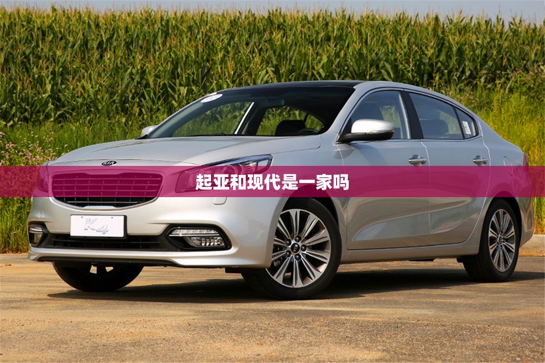 【起亚和现代是一家吗,起亚和现代是一个集团吗】 【起亚和现代是一家吗,起亚和现代是一个集团吗】