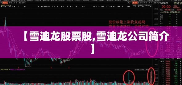 【雪迪龙股票股,雪迪龙公司简介】