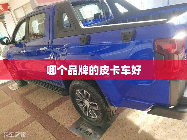 哪个品牌的皮卡车好/哪个品牌的皮卡车好一点 哪个品牌的皮卡车好/哪个品牌的皮卡车好一点