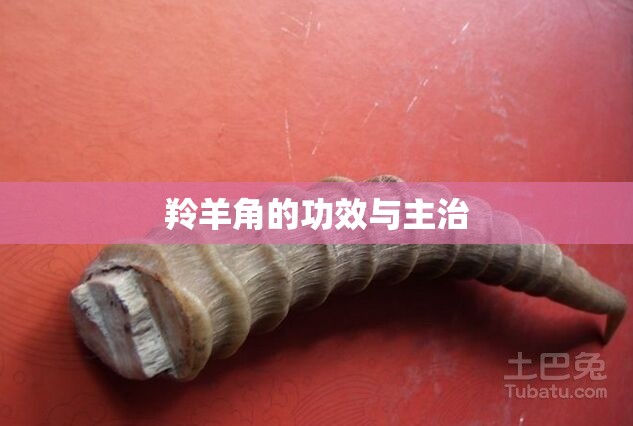 羚羊角的功效与主治/羚羊角功效作用全解析