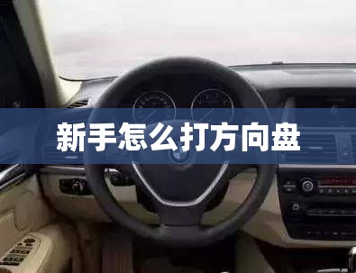 新手怎么打方向盘(新手怎么打方向盘慢动作)