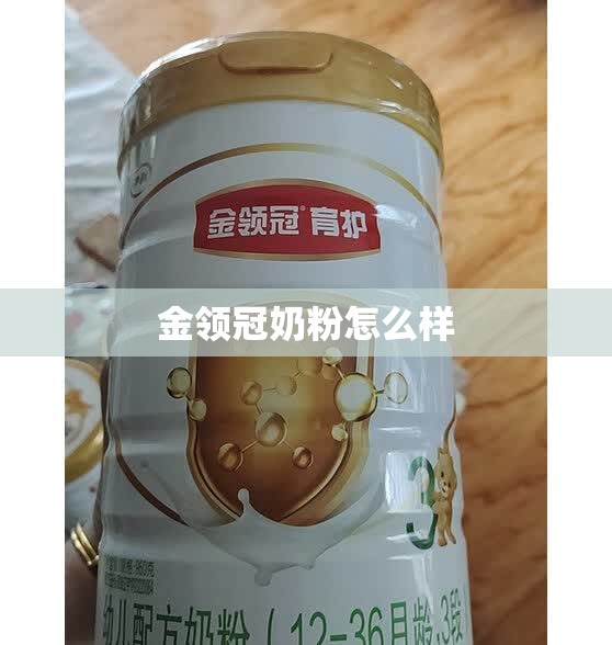 金领冠奶粉怎么样/飞鹤奶粉怎么样