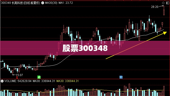 【股票300348,股票300348多少钱】 【股票300348,股票300348多少钱】